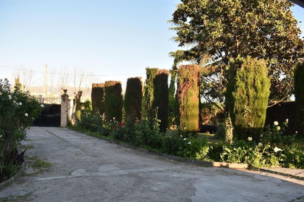 Vivienda Rural Huerta Del Medio Villa Granada Ngoại thất bức ảnh